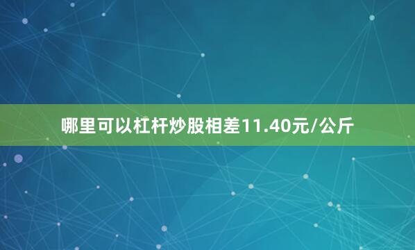 哪里可以杠杆炒股相差11.40元/公斤