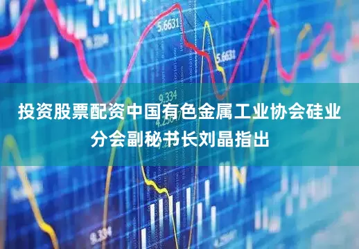 投资股票配资　　中国有色金属工业协会硅业分会副秘书长刘晶指出