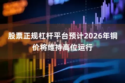 股票正规杠杆平台预计2026年铜价将维持高位运行