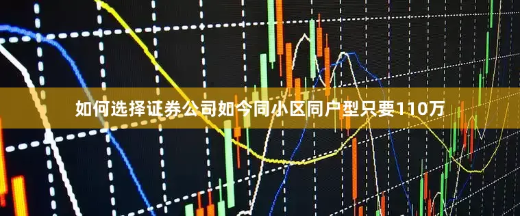如何选择证券公司如今同小区同户型只要110万